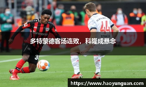 智博19有限公司