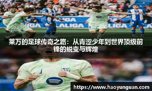 智博19有限公司