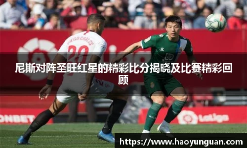 智博19有限公司