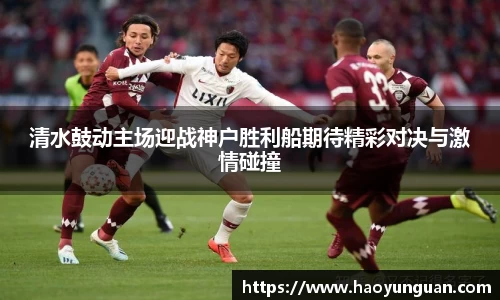 智博19有限公司