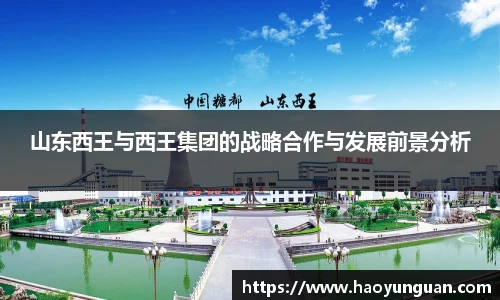 智博19有限公司