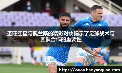 智博19有限公司