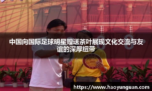 智博19有限公司