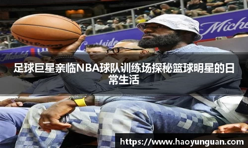 智博19有限公司