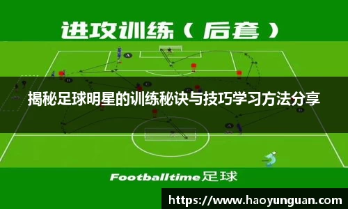 智博19有限公司